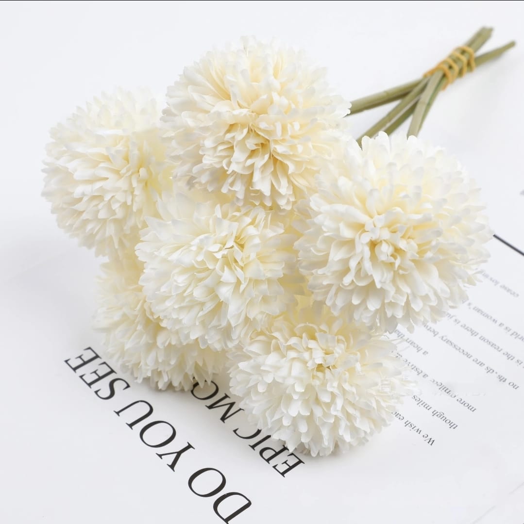 hydrangea flower white dandelion